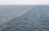 Bedrijfsuitje begint met vastgelopen veerboot op Waddenzee...