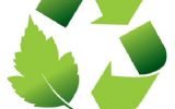 Column Frans Miggelbrink: Greensmashing!