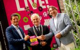 D&B Eventmarketing brengt boek uit over impact van eventmarketing