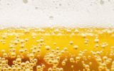 De uitdagingen rondom de nieuwe Drank- en Horecawet