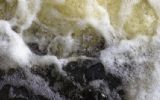 Dodelijk drama bedrijfsuitje: Waterschap niet vervolgd