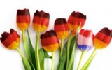 Duitse eventbeurs gooit deuren open voor Nederlandse eventprofs