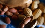 EventBranche Borrel CHV Noordkade: workshop allergenenwetgeving