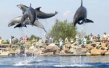 EventBranche Magazine abonnees gratis naar Dolfinarium