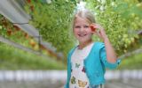 #EventTrends2018: eventmarketing met kinderen als doelgroep