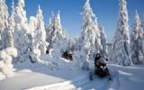 Fam Trip van travelmediate naar Lapland