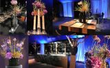 Fraai Projecten en Wolterinck Event Decoration starten samenwerking