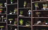 Fraai Projecten zet recycling centraal bij styling EU conference on plastic