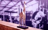 Gouden Giraffe 2018: waar moet een event aan voldoen? Bekijk de checklist!
