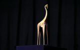 Gouden Giraffe Event Awards 2021 komt met verrassend concept