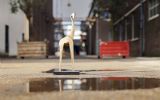 Gouden Giraffe Event Awards: nu voorinschrijven, is nu korting + extra categorie