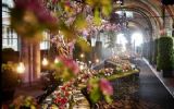 Gouden Giraffe genomineerd: The Green Gallery bereikt nieuwe doelgroepen