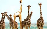 Gouden Giraffe juryleden: Alle ins & outs en wat een event zo succesvol maakt