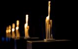 Gouden Giraffe nominatie Congressen: Voor de Jeugd Dag 2016