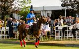 Het succes van 10 jaar polo Brabant