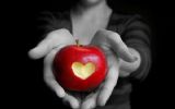 HSMAI bijeenkomst How to become a Lovemark live online te volgen