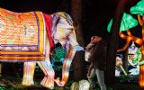 Light Safari van start bij Beekse Bergen