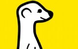 Meerkat: een ideale app voor ieder evenement