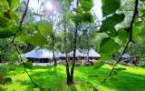 Nieuwe evenementenlocatie in het bos: Feel Good TentEvent