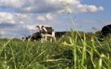 Partycateraar 7AM start met biologisch label