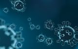 Sneltesten, toegangstest, vaccinatie en Corona Check App moeten perspectief bieden