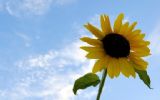 Tip: Geef de zomer een boost!