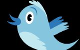 To tweet or not to tweet: wie moet u volgen?