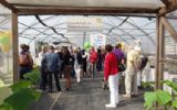 Toine Doprmans Groep zet familie-evenement neer voor Rijk Zwaan