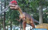 Unieke mogelijkheid: een levensgrote dino voor uw event of locatie
