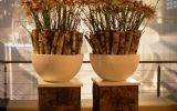 Wolterinck Event Decoration zet voor 2011 nieuwe trendlijn neer: NaturalBark