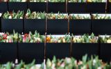 Wolterinck Event Decoration zorgt voor fleurige thuiswerkbooster