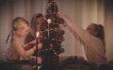 Wolterinck lanceert Spark thuiswerkboom: een boom vol waardering