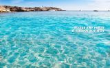 WOP komt met nieuw label: WOPIbiza