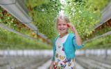 Xsaga en Albert Heijn zetten evenement neer op 70 locaties op 1 dag