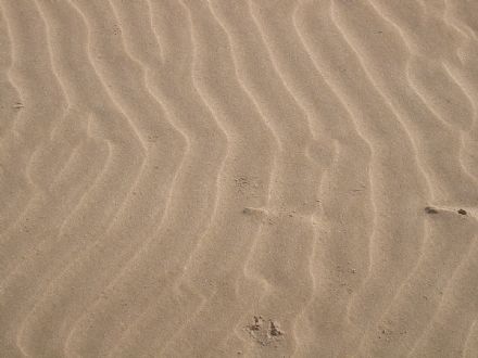 24 Circles lanceert platform voor strandevenementen en bedrijfsuitjes in Zandvoort