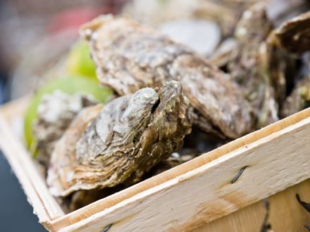 #BBBQ16: 650 eventprofs + nieuw foodconcept: de oesterbarbecue