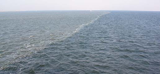 Bedrijfsuitje begint met vastgelopen veerboot op Waddenzee...