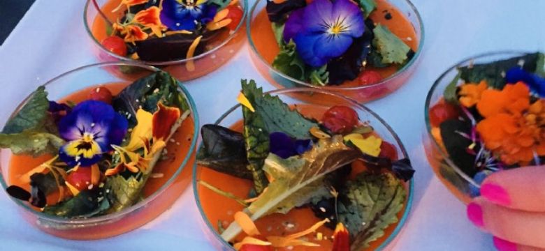 Catering voor uw evenement met een budget voor minder dan 100,- euro? 11 voorbeelden