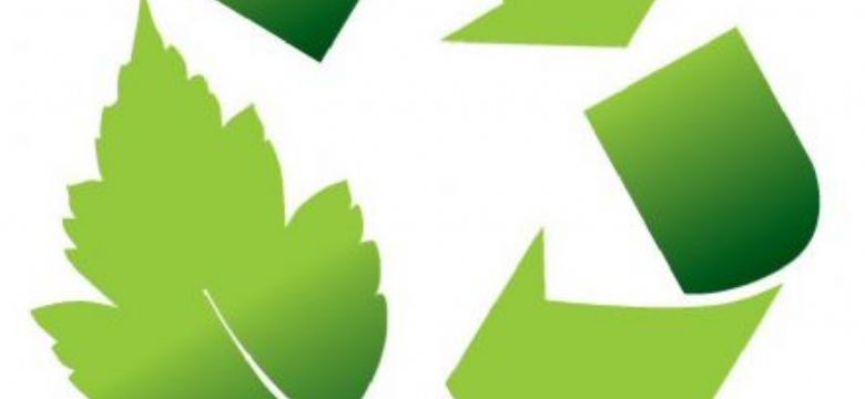 Column Frans Miggelbrink: Greensmashing!