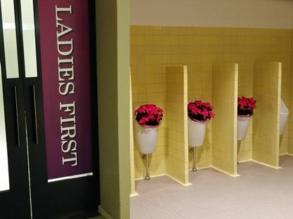 Conference of Women’s Shelters: 7 plenaire programma's, 120 parallelle sessies en 1000 vrouwen