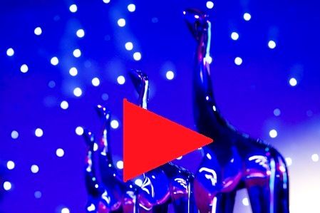 De Gouden Giraffe Event Awards VLOG