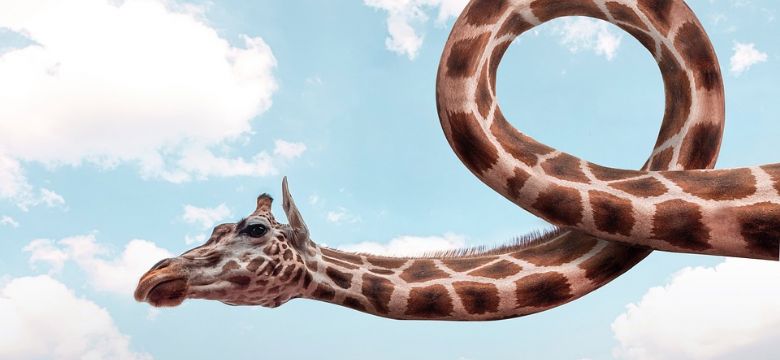 De vijf grootste misverstanden rondom de Gouden Giraffe Event Awards