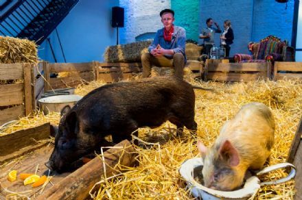 DeBorrelfabriek geeft relaties zero waste theaterbeleving