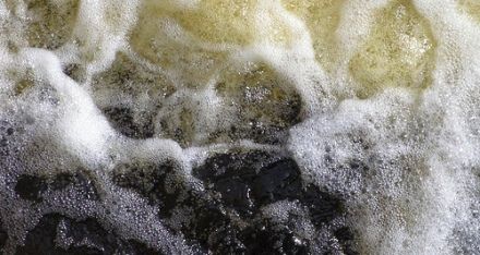 Dodelijk drama bedrijfsuitje: Waterschap niet vervolgd