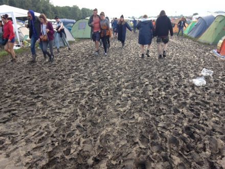 Down the Rabbit Hole: hulde voor campingburgemeester Jan, summiere info via app