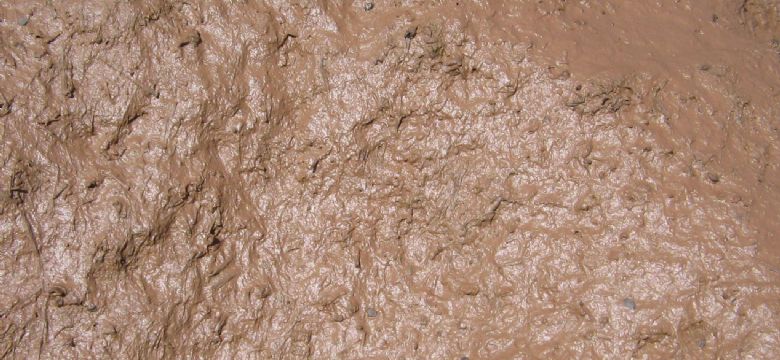 Evenement gehouden op locatie met gif in de grond