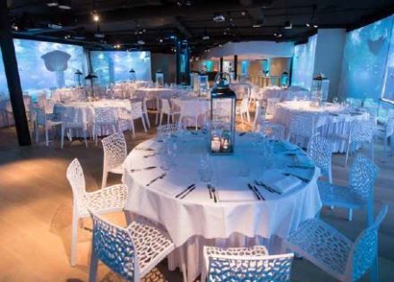 EventBranche Connect: 16 eventmanagers praten over terreur en events