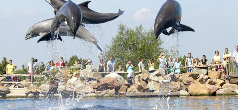 EventBranche Magazine abonnees gratis naar Dolfinarium