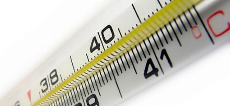 EventBranche Nieuwsbrief: door ziekte verschoven naar donderdag