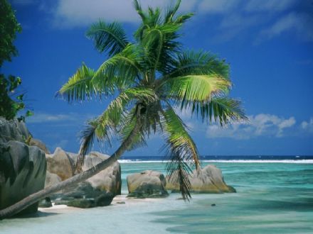 EventBranche.nl op vakantie